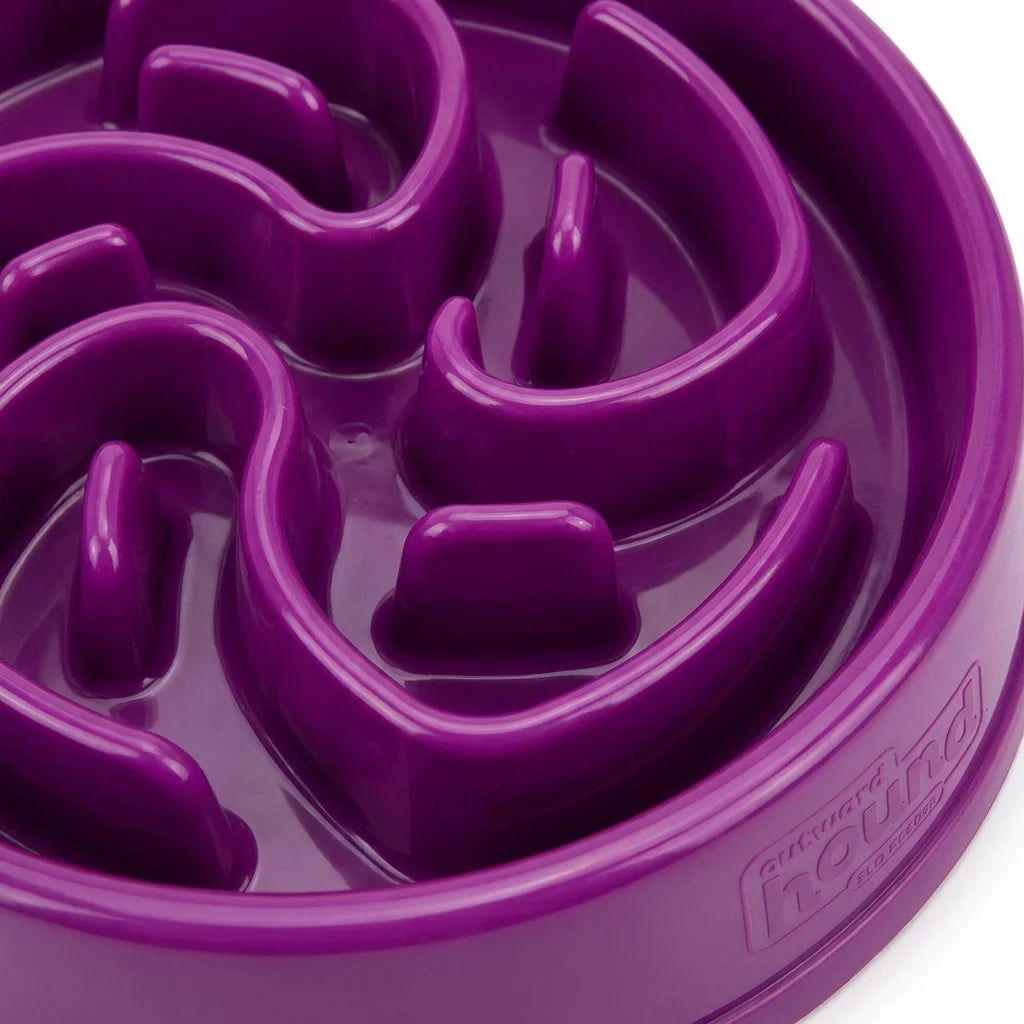 Outward Hound Fun Feeder Slo Bowl - Anti-Gulping Dog Bowl