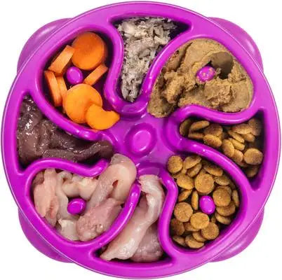 Outward Hound Fun Feeder Slo Bowl - Anti-Gulping Dog Bowl