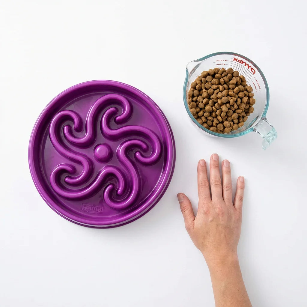Outward Hound Fun Feeder Slo Bowl - Anti-Gulping Dog Bowl